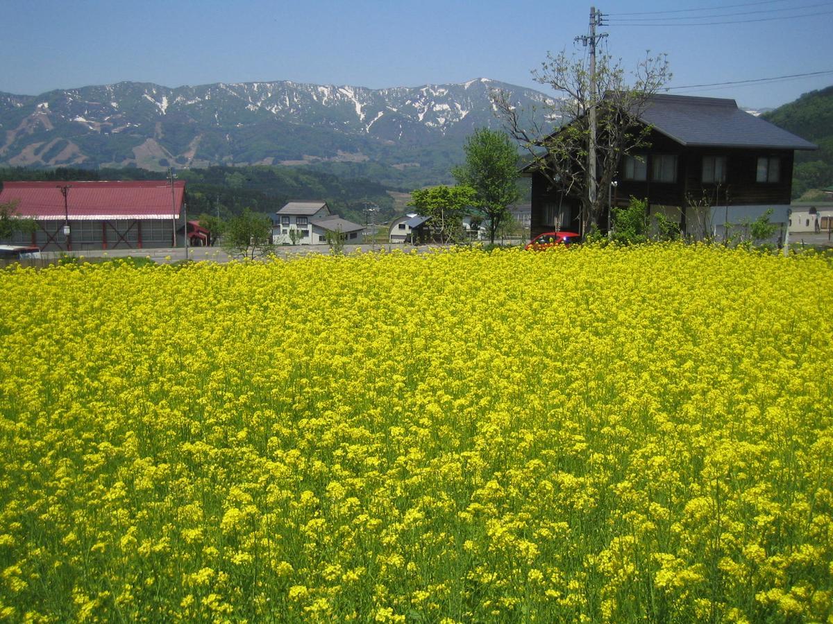 Hotel Inaka No Yado Sawa Nozawaonsen Esterno foto