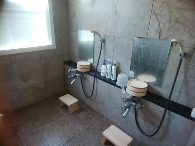 Hotel Inaka No Yado Sawa Nozawaonsen Esterno foto